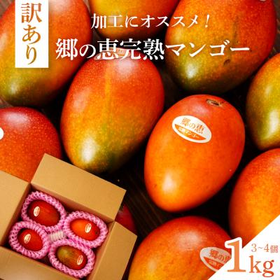 ふるさと納税 大崎町 [訳アリ]1kg 大崎完熟マンゴー「郷の恵(さとのめぐみ)」加工用マンゴー(糖度10度前後)