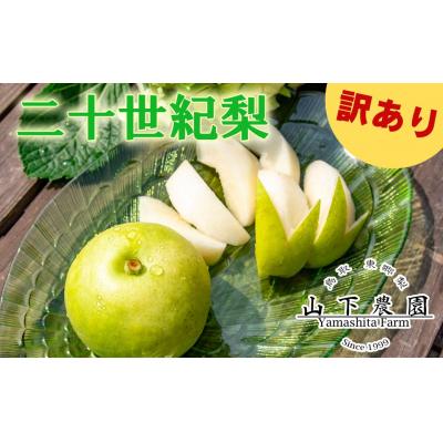 ふるさと納税 湯梨浜町 湯梨浜東郷名産 二十世紀5kg〔訳あり〕(9M.)