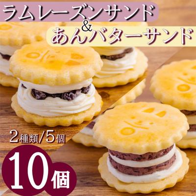 ふるさと納税 高原町 あんバターサンド&amp;ラムレーズンサンド ck-638