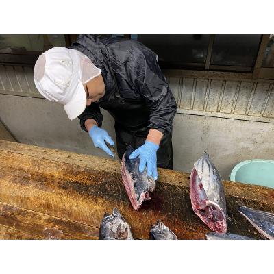 ふるさと納税 焼津市 ねこのかつおくん 8パック セット(a10-956)の画像