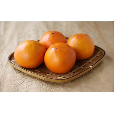 ふるさと納税 八頭町 [2026年発送分]八頭町特産 花御所柿