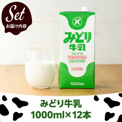 ふるさと納税 佐伯市 みどり牛乳(計12L・1000ml×12本) |  | 01