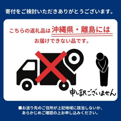 ふるさと納税 三条市 先行受付 和梨 幸水 自家用 5kg [三条果樹専門家集団]【010P047】 |  | 01