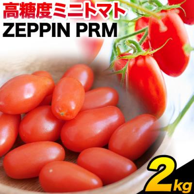 ふるさと納税 笠岡市 ZEPPIN PRM(プレミアム)2kg B-138a