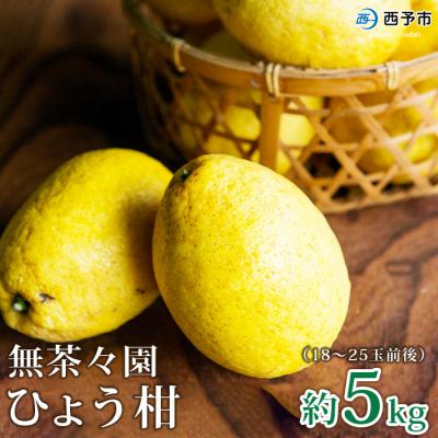 ふるさと納税 西予市 <無茶々園のひょう柑 5kg> 果物 フルーツ ひょうかん 愛媛 柑橘