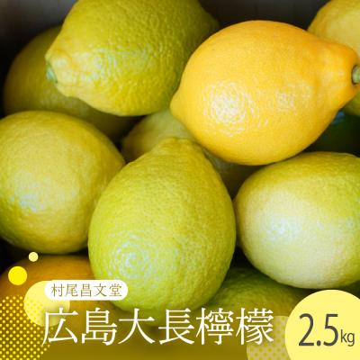 ふるさと納税 呉市 [2025年11月上旬〜発送] 国産レモンの産地 広島大長檸檬 2.5kg ku012-013-25