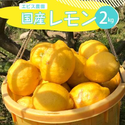 ふるさと納税 呉市 [2025年12月上旬〜発送]皮まで美味しい!オーガニックレモン 約2kg ku026-001-25
