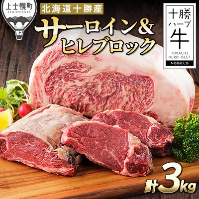 ふるさと納税 上士幌町 十勝ハーブ牛 サーロイン&amp;ヒレブロック 計3kg 北海道産 牛肉 赤身 キャンプ アウトドア BBQ
