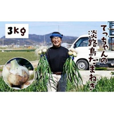 ふるさと納税 南あわじ市 てっちゃんの淡路島たまねぎ3kg