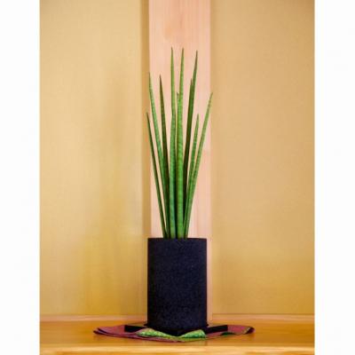 ふるさと納税 天草市 エコ・ポチ チムニー 黒 サンスベリア・バキュラリス