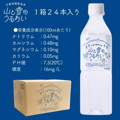 ふるさと納税 三条市 [定期便500ml×24本×3か月]ナチュラルミネラルウォーター 山と雪のうるおい【020S039】の画像