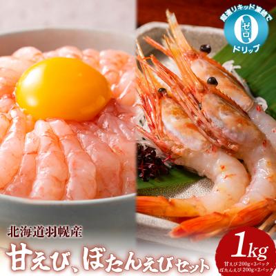 ふるさと納税 羽幌町 超速リキッド凍結でドリップゼロ!北海道羽幌産甘えび・ぼたんえびセット計1kg | 