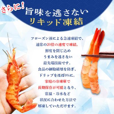ふるさと納税 羽幌町 超速リキッド凍結でドリップゼロ!北海道羽幌産甘えび・ぼたんえびセット計1kg |  | 02