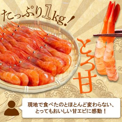 ふるさと納税 羽幌町 超速リキッド凍結でドリップゼロ!北海道羽幌産生鮮甘えび 1kg |  | 01
