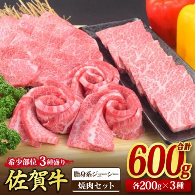 ふるさと納税 神埼市 佐賀牛 希少部位 焼肉3点盛り合せ 600g(200gx3種)[脂身系ジューシー](H085142)