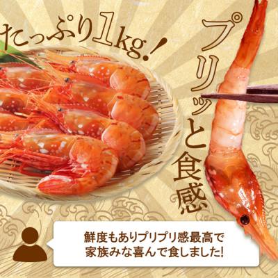 ふるさと納税 羽幌町 超速リキッド凍結でドリップゼロ!北海道羽幌産生鮮ぼたんえび 1kg |  | 01