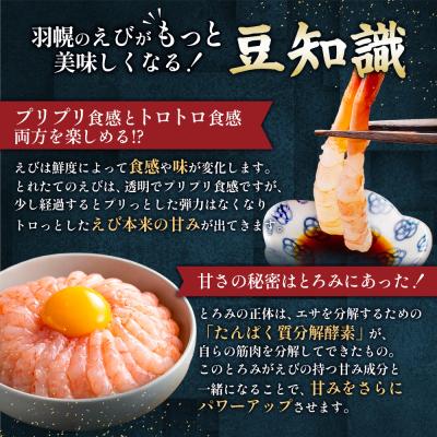ふるさと納税 羽幌町 北海道羽幌産 冷凍むき甘えび 500g |  | 02