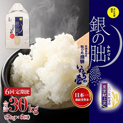 ふるさと納税 下呂市 [定期便][2025年産米]5kg×6回 皇室献上米「銀の朏」化学肥料不使用 [13-9]