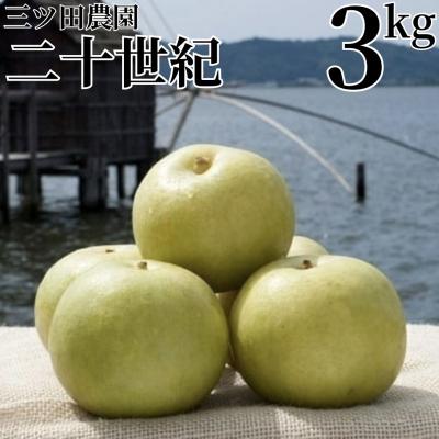 ふるさと納税 湯梨浜町 三ツ田農園 二十世紀3kg(207M.)