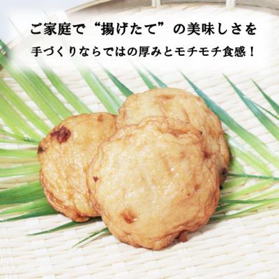ふるさと納税 出雲市 尊の厚天ぷら詰め合わせセット(玉ねぎ)【1-303】_1