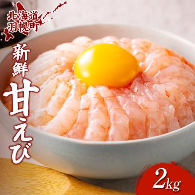 ふるさと納税 羽幌町 超速リキッド凍結でドリップゼロ!北海道羽幌産生鮮甘えび200g×10 | 