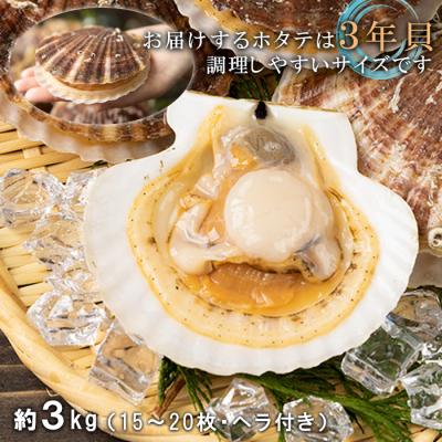 ふるさと納税 羽幌町 北海道羽幌町産 殻付き活ホタテ 約3kg(15〜20枚・ヘラ付き) |  | 01