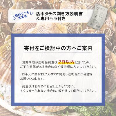 ふるさと納税 羽幌町 北海道羽幌町産 殻付き活ホタテ 約3kg(15〜20枚・ヘラ付き) |  | 03