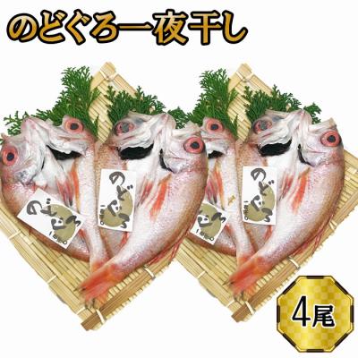 ふるさと納税 出雲市 のどぐろ 一夜干し2尾セット×2箱セット[2_6-007]