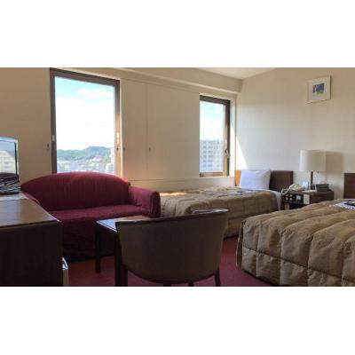 ふるさと納税 飯能市 飯能第一ホテル ツインルームタイプB(2名)宿泊券