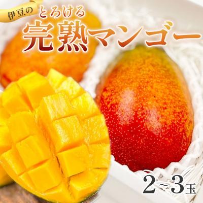 ふるさと納税 伊豆市 [数量限定・7月〜8月発送]とろける あまい マンゴー アーウィン 2〜3個(約600g〜900g)