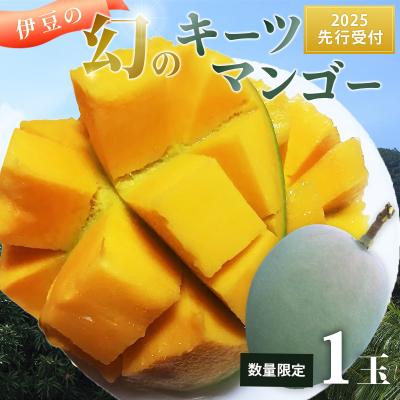 ふるさと納税 伊豆市 [数量限定・8月〜9月発送]大きな緑色のマンゴー(キーツ)1個
