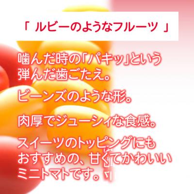 ふるさと納税 小山町 アメーラルビンズ\u0026ルビンズゴールド 5パック入り_2