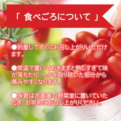 ふるさと納税 小山町 アメーラルビンズ\u0026ルビンズゴールド 5パック入り_3