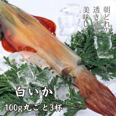 ふるさと納税 海士町 [ぷりぷり甘い高級白いか]白いか丸ごと 100g×3本セット 朝どれ鮮度でお送りします いか イカ