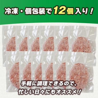 ふるさと納税 淡路市 淡路島 極味ハンバーグ 150g×12個 牛肉100%　ao05756 |  | 03