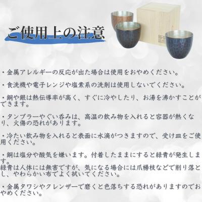 ふるさと納税 三条市 鎚起銅器 ミニタンブラー パイソン・侘青(わびあお)【107S003】の画像