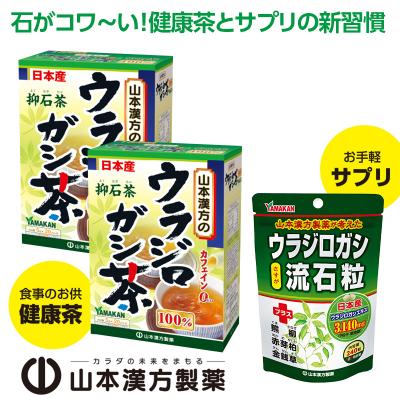 ふるさと納税 小牧市 ウラジロガシ茶(5g×20包)×2個&amp;ウラジロガシ 流石粒(240粒)×1個[027Y12]