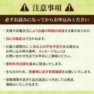 ふるさと納税 東御市 【R7年産新米】東御市産おいしいお米「風さやか」約10kg_2