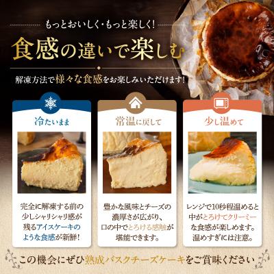 ふるさと納税 浜中町 【某テレビ番組で紹介!!】熟成バスクチーズケーキ_H0041-100 |  | 01