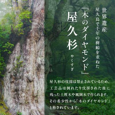 ふるさと納税 鹿児島市 屋久杉 ねじり一膳箸 男性用(23cm)　K042-005_2 |  | 01