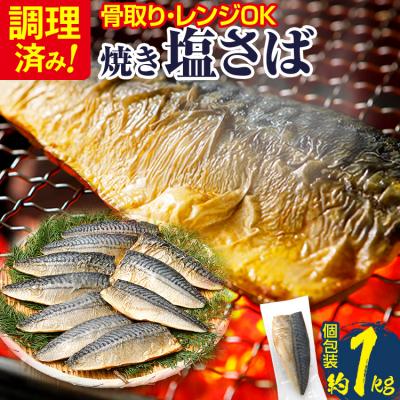 ふるさと納税 古賀市 [調理済]塩さば焼きフィーレ(骨取り)