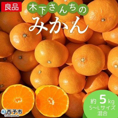 ふるさと納税 西予市 &lt;木下さんちのみかん 良品 約5kg&gt;(S〜Lサイズ混合)柑橘類 温州みかん うんしゅうみかん