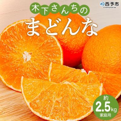 ふるさと納税 西予市 <木下さんちのまどんな 約2.5kg 家庭用> 柑橘類 みかん ミカン 果物 くだもの フルーツ