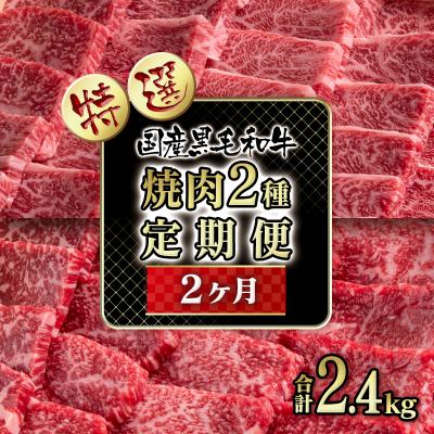 ふるさと納税 西都市 [2回お届け]黒毛和牛特選焼肉2種食べ比べ定期便[2331]