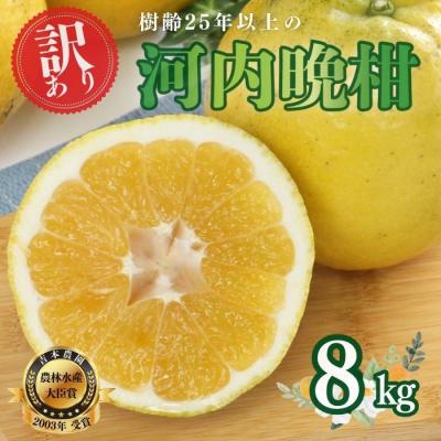 ふるさと納税 愛南町 [訳あり] 河内晩柑(愛南ゴールド) 8kg 吉本農園 みかん 愛媛県 愛南町