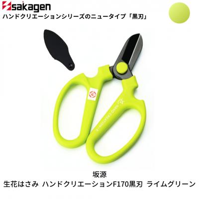 ふるさと納税 三条市 生花はさみ ハンドクリエーションF170黒刃 ライムグリーン 花ハサミ [坂源] 