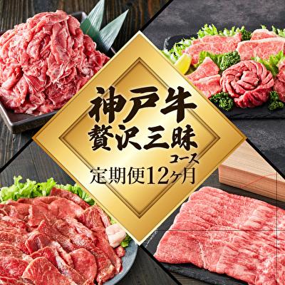 ふるさと納税 加西市 定期便 肉 神戸牛 贅沢三昧[12ヶ月連続お届け]全12回 ヒライ牧場 [No5698-0701]