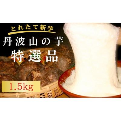 ふるさと納税 京都市 [芋家なか吉]プレミアム丹波山の芋特選品1.5kg