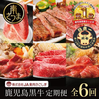 ふるさと納税 南さつま市 [JA食肉かごしま]鹿児島黒牛定期便(全6回) 黒毛和牛 牛肉 定期便