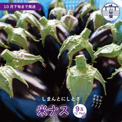 ふるさと納税 四万十市 [期間限定]しまんとにしとさ米ナス9玉(約2.7kg)[R7年5月中旬〜10月下旬発送]